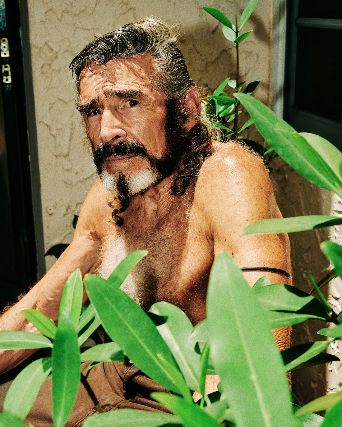 David Cabrera